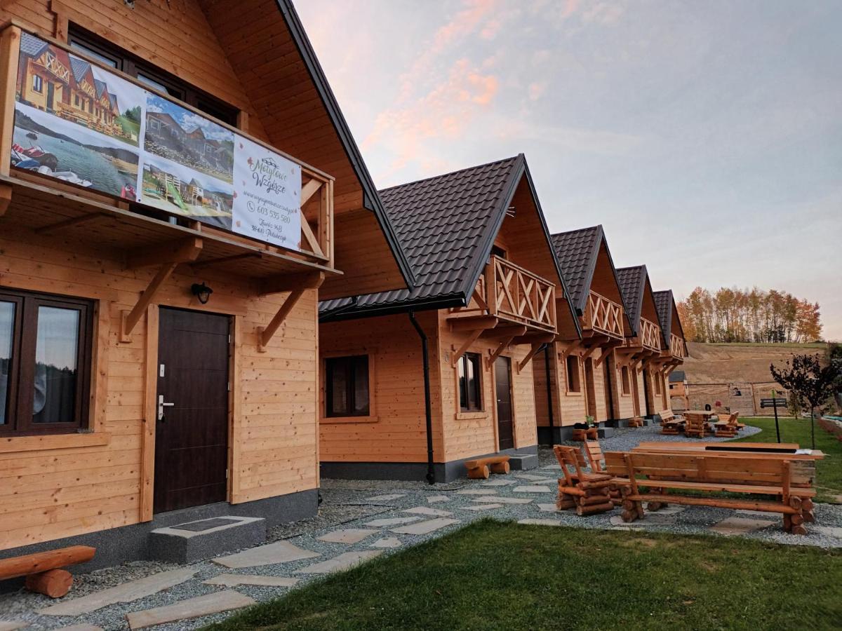 Motylowe Wzgorze Apartamenty ซาโวซ ภายนอก รูปภาพ