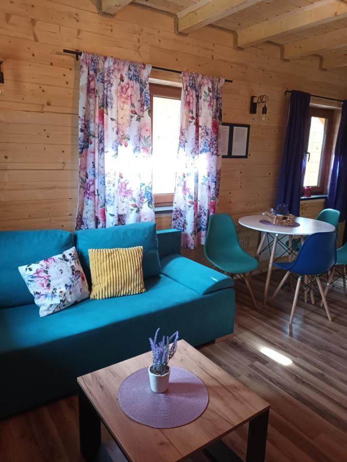 Motylowe Wzgorze Apartamenty ซาโวซ ภายนอก รูปภาพ