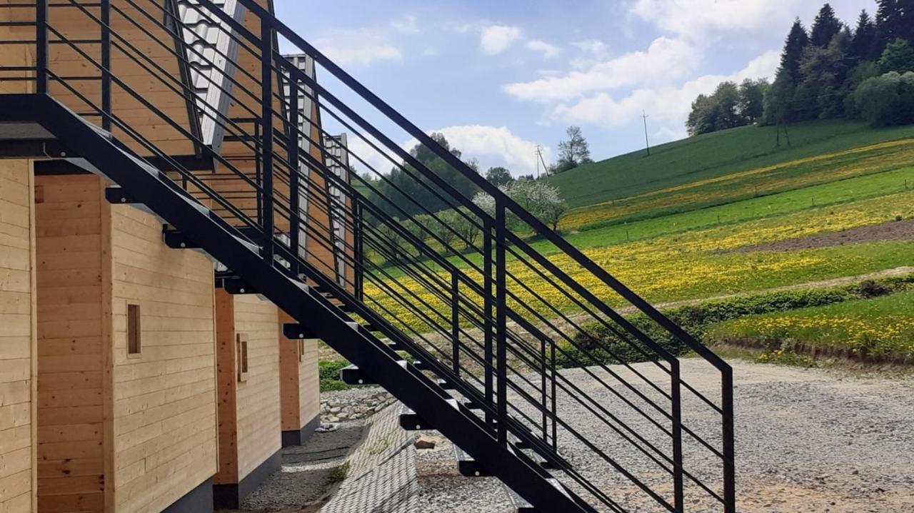 Motylowe Wzgorze Apartamenty ซาโวซ ภายนอก รูปภาพ